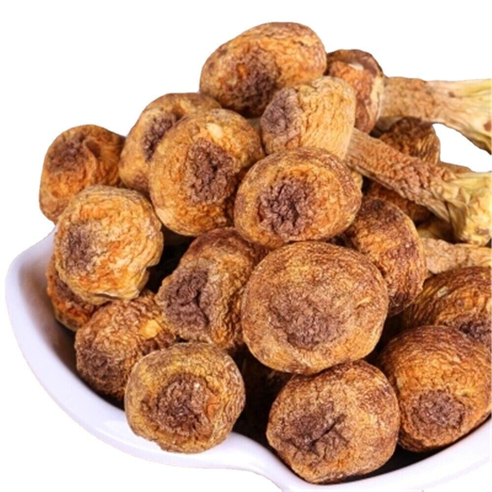 100%天然杏鲍菇/姬松茸姬松茸