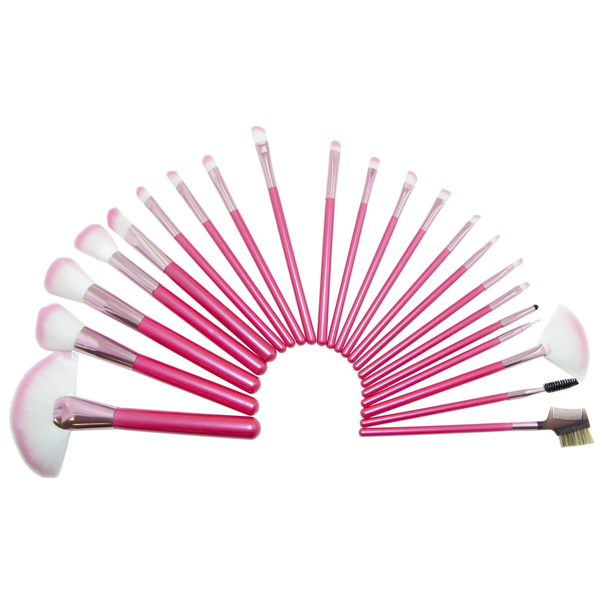 22 Piece Professional Cosmetic Makeup Pink Brush Set with Pink Bag