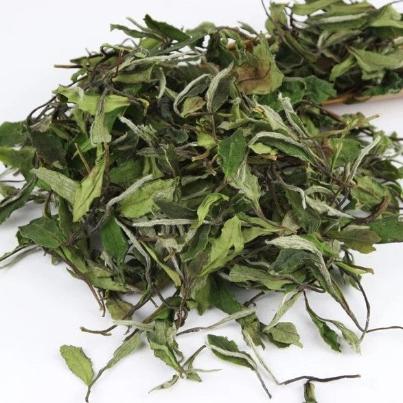 1000g prime Fuding White Tea,First Spring Wild Shou Mei Chinese White Tea