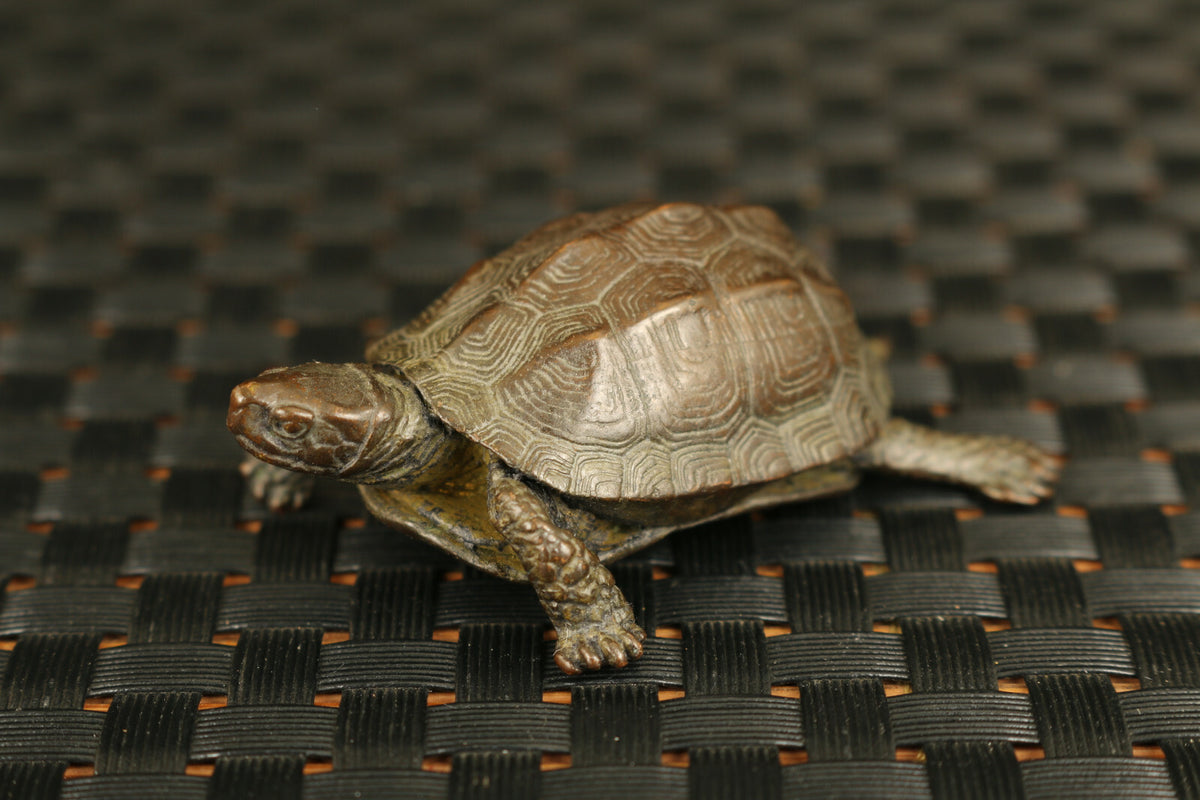 Chinese bronze hand casting tortoise Turtle figure statue Tea pet