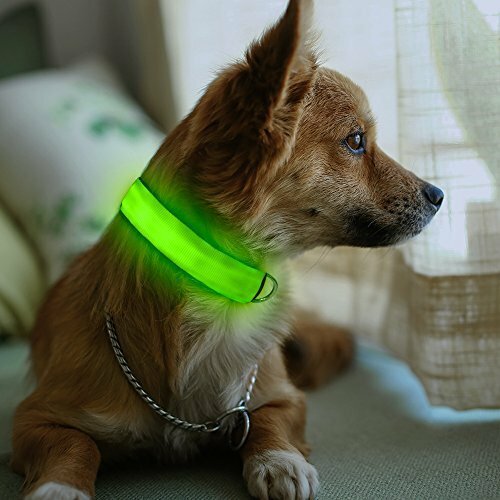 Small Green Light-Up LED Rechargeable Adjustable Pet Collar (Flashing or Steady)