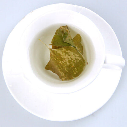 Natural Dried Gingko Biloba Tea Dry Green Gingko Healthy Herbal Gingko Tea 500g