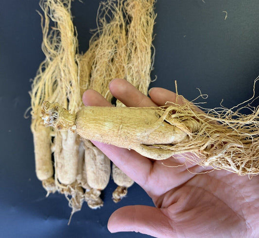 250g Organic Ginseng 8 Years Old Organic White Ginseng Root
