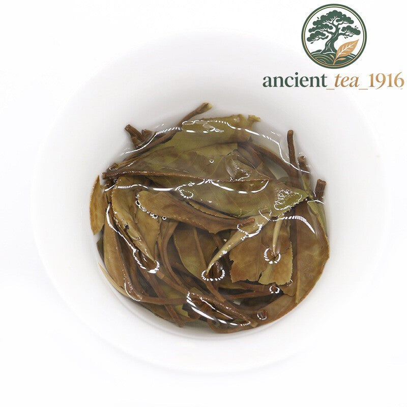 500g White Tea Cake Premium Old Tree Aged White Tea Natural Craft Tea