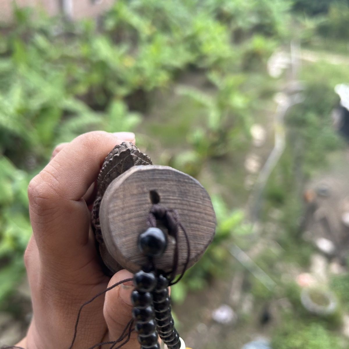 Agarwood Lizard Bamboo Joint Hand Piece 15cm Wenwan Keychain Pendant