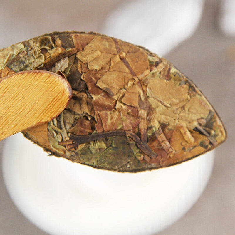 White Tea Golden Leaf Sun Sun White Tea 500g Yunnan Organic Alpine Ancient Tree