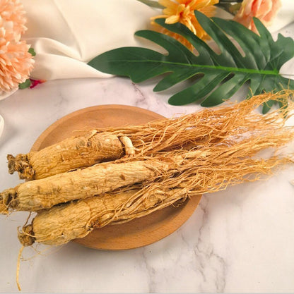 CHINA Top Herbal Panax Korean White Ginseng Roots ChangBaiShan Ginseng Roots