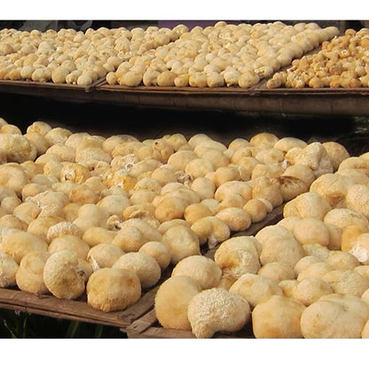 Organic Herbs 100% Natural Dried Lion's Mane Mushroom 500g/1.1LB