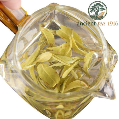 500g 2026 Spring Tea Yunnan Large Leaf Yunnan Green Tea Special Grade Green Tea