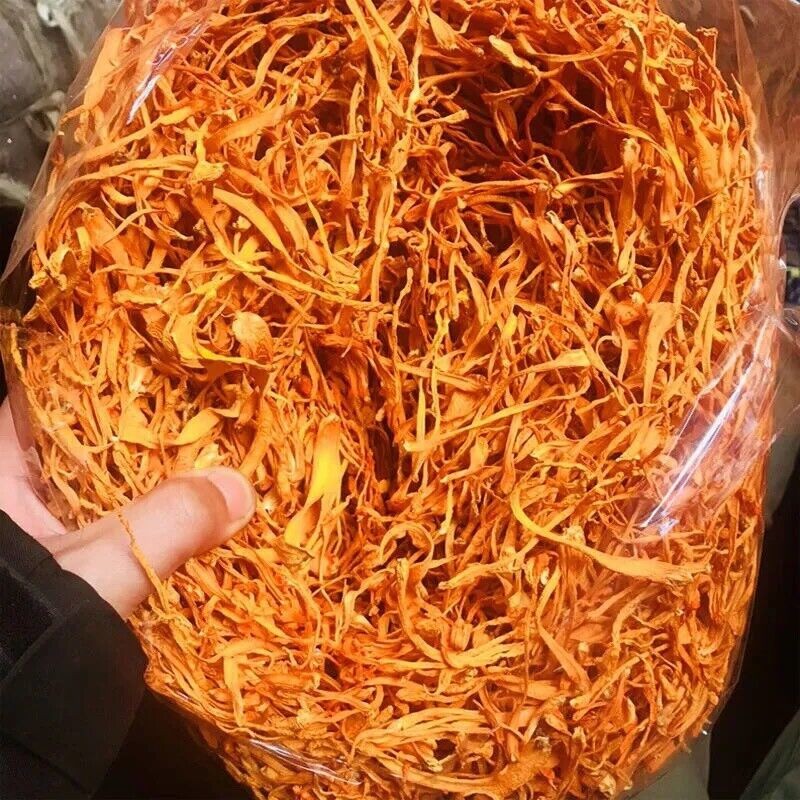 500g Premium Chinese Wild Mushroom Cordyceps Chong Cao Hua Herbal Brew Tea