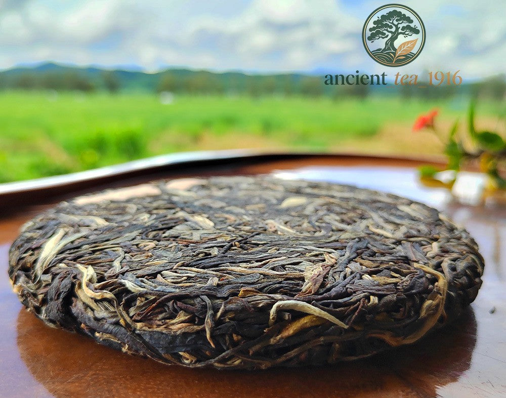 200g 2013 Yi Wu Raw Tea Ancient Tree Yunnan Pu Erh Tea Cake