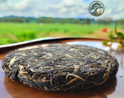 200g 2013 Yi Wu Raw Tea Ancient Tree Yunnan Pu Erh Tea Cake