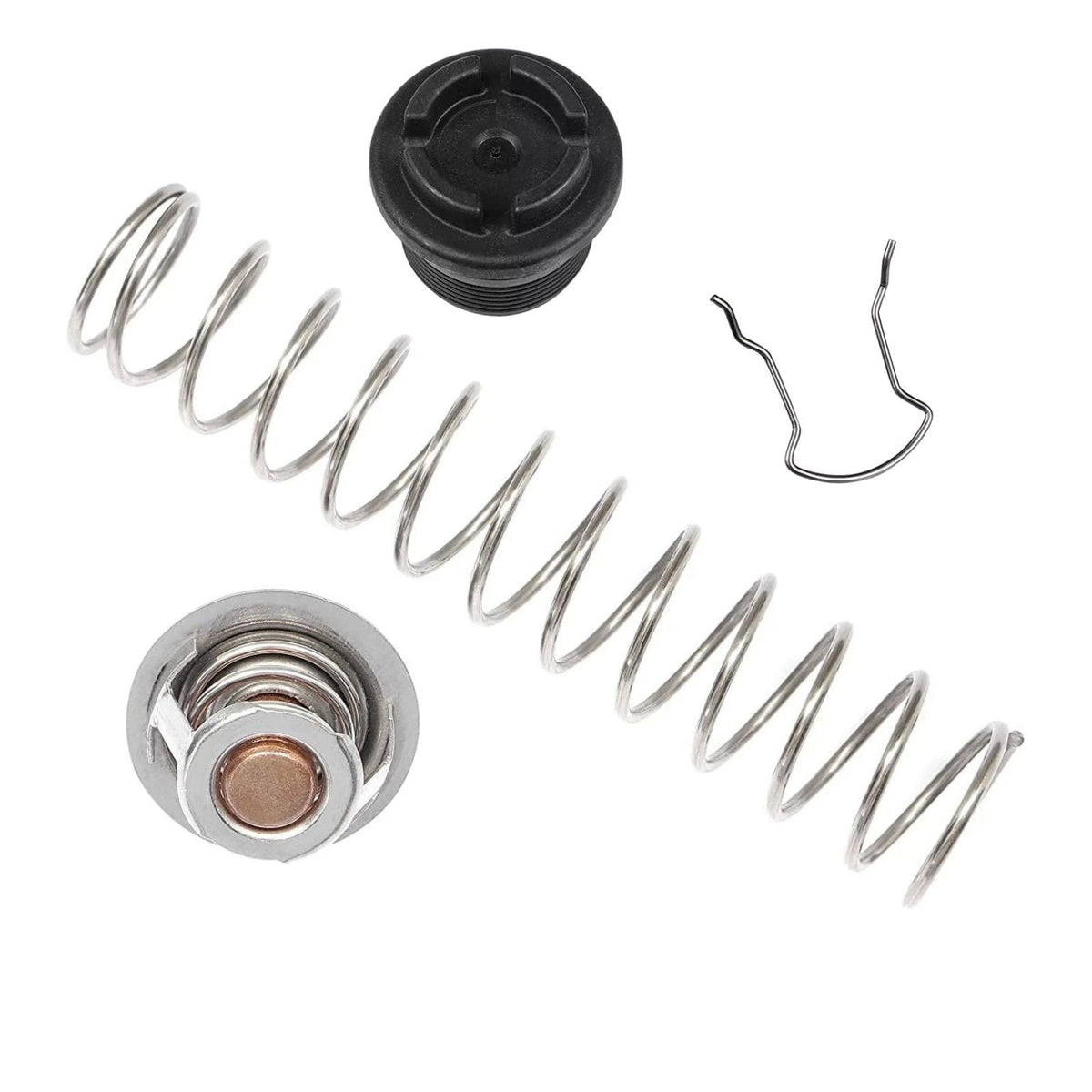 Plastic+Metal 77707-0010 Thermal Regulator Replacement Kit For Pentair Pool Spa