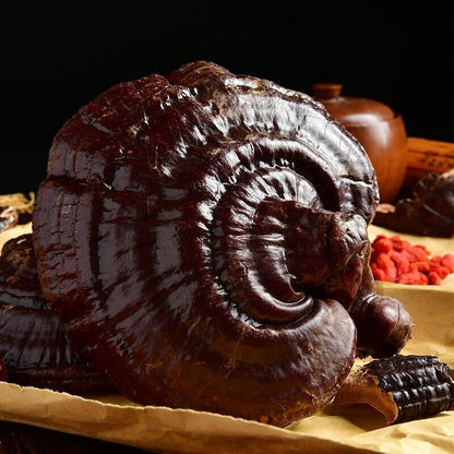 250g/500g Reishi Soup Purple Black Ganoderma Lucidum Lingzhi Mushroom Herbs长白山灵芝