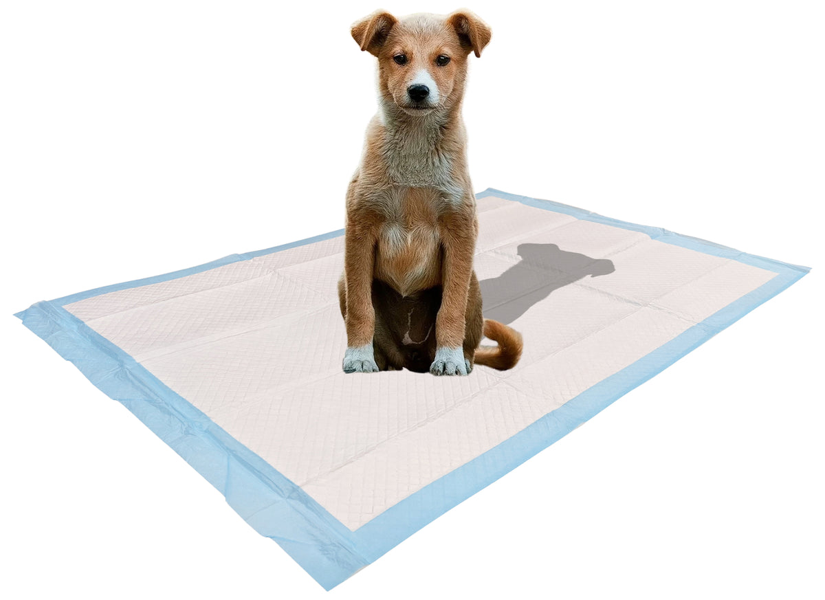 100 Count Ultra Absorbent - Leak-Proof Pee Pads for Dogs Rabbits and Cats