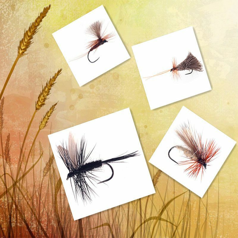 Saddle Feathers Whiting Grizzly Fly Tying Hackle 20 Set Black White Dry Rooster
