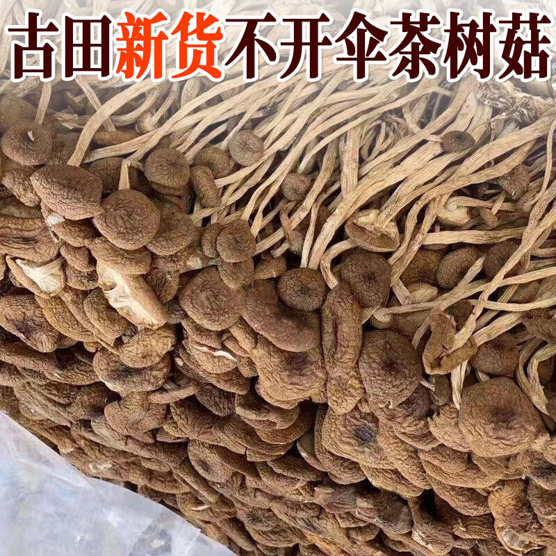 250g/bag New Premium Dried Tree Mushroom Chinese Herbal Agrocybe Cylindracea