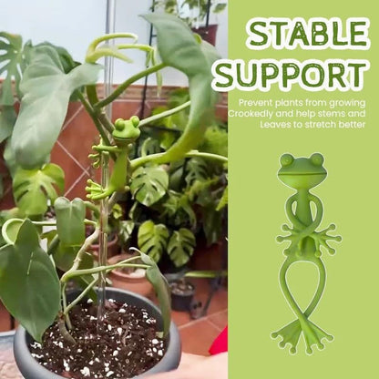 10 pieces of flower frog plant rack climbing vine plant fixed rack hot selling