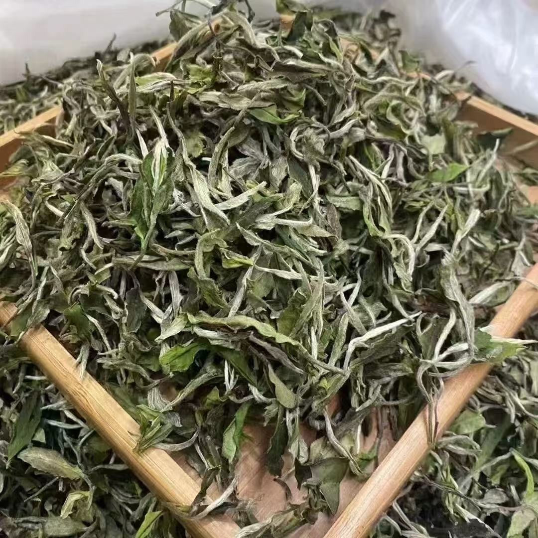 1000gPremium White Tea Competition Grade White Peony Organic Loose Leaf BaiMuDan