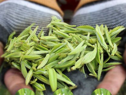 Pu-erh Tea Cake Chinese White Tea Fuding 100%Natural Organic Silver Needle 300g