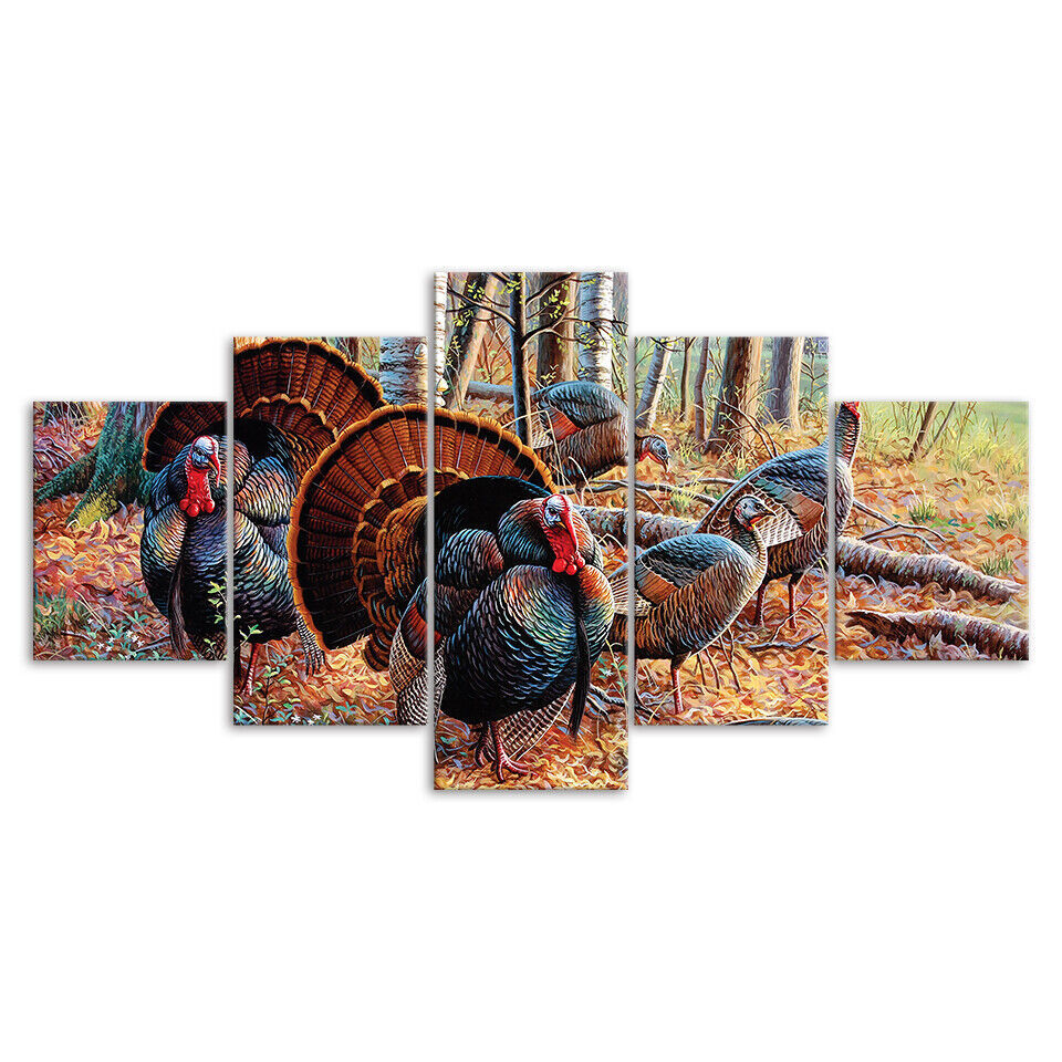 Turkey Wildlife Turkeys Animals Canvas Prints Painting Wall Art Home Decor 5PCS