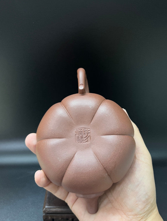 270cc chinese Yixing Handmade Zisha Dicaoqing clay Teapot DeGuo Hu Tea Pot