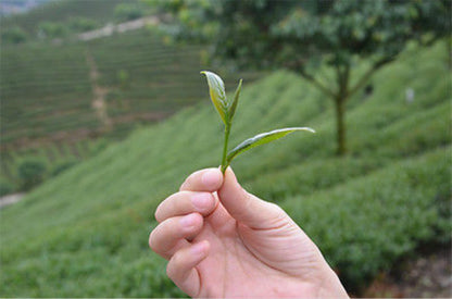 250g Premium 58 series Black Tea Dian Hong Famous Yunnan Black Tea Dian Hong Tea