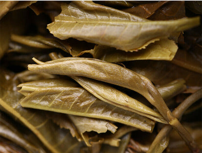Haiwan High Mountain Ancient Tree Old Comrade Batch 191 500g Puer Tea