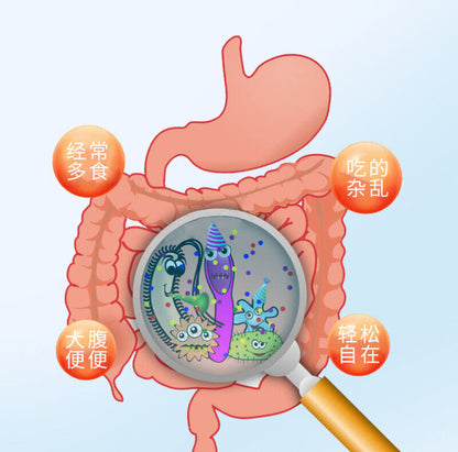 40g Probiotics Freeze-dried Powder Children’s Intestinal Viable Solid Beverage