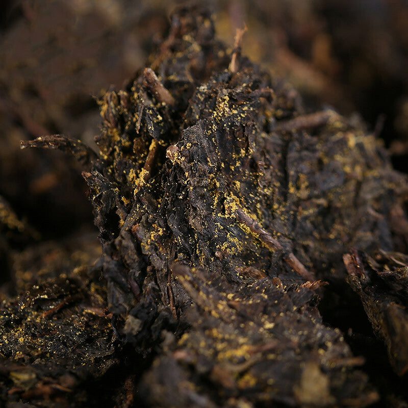 Organic Baishaxi Dark Tea Fu Zhuan Brick Tea China Anhua Black Tea Fu Cha 300g
