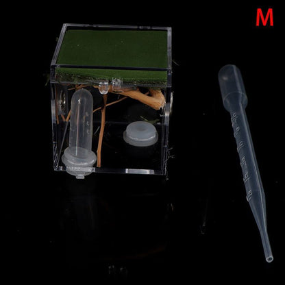 Ant Farms 3Pc Acrylic Clear Spider Insect Breathable Terrarium Reptile Breed Box