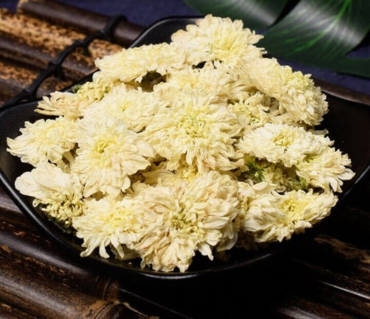 Chinese Imperial White Chrysanthemum flower Tea, CHINA GONG BAI Ju Hua tee