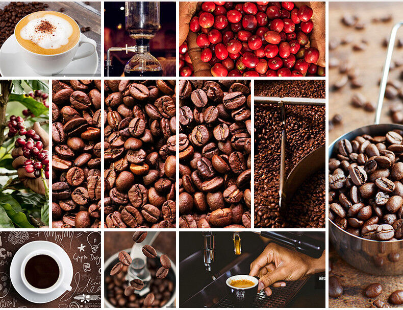 Vietnam Coffee Beans Vietnam Baking Charcoal Roasted Arabica Coffee beans