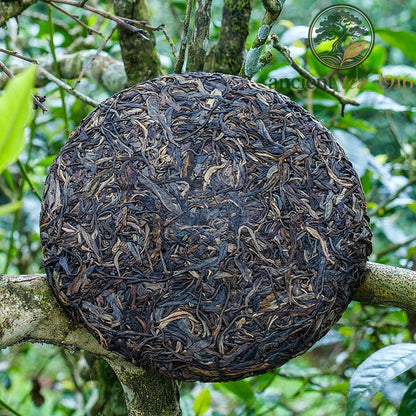 357g Pu'er Raw Tea Yi Wu Yunnan Aged Tea Cake
