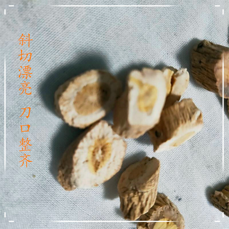 板蓝根中药材Radix isatis chinensis