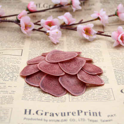 100% Natural Red deer velvet antler slices / Lu Rong Slices Exotic Herb For Men