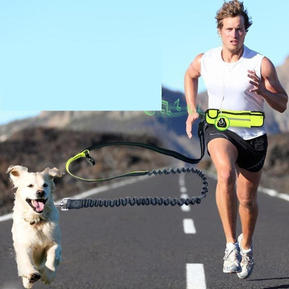 Shock Absorbing Bungee Dog Leash with Waist Bag - Hands-Free