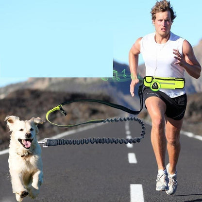 Shock Absorbing Bungee Dog Leash with Waist Bag - Hands-Free