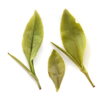 500g Premium Huangshan Maofeng GREEN TEA Chinese Yellow Mountain Mao Feng