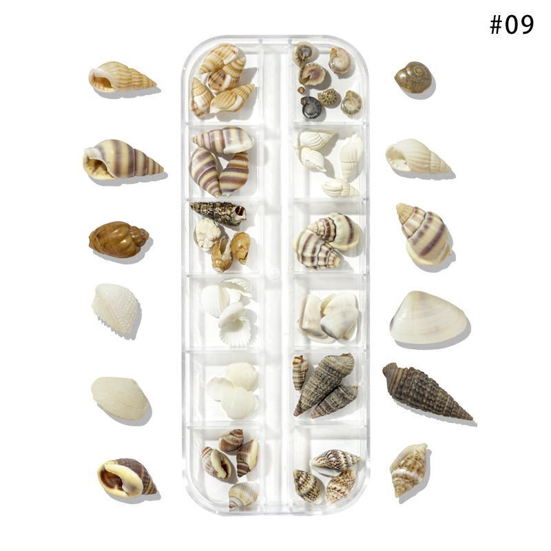 Nail Art Decor 3D Irregular Abalone Natural Sea Shell Stones DIY Accessory 1 Box