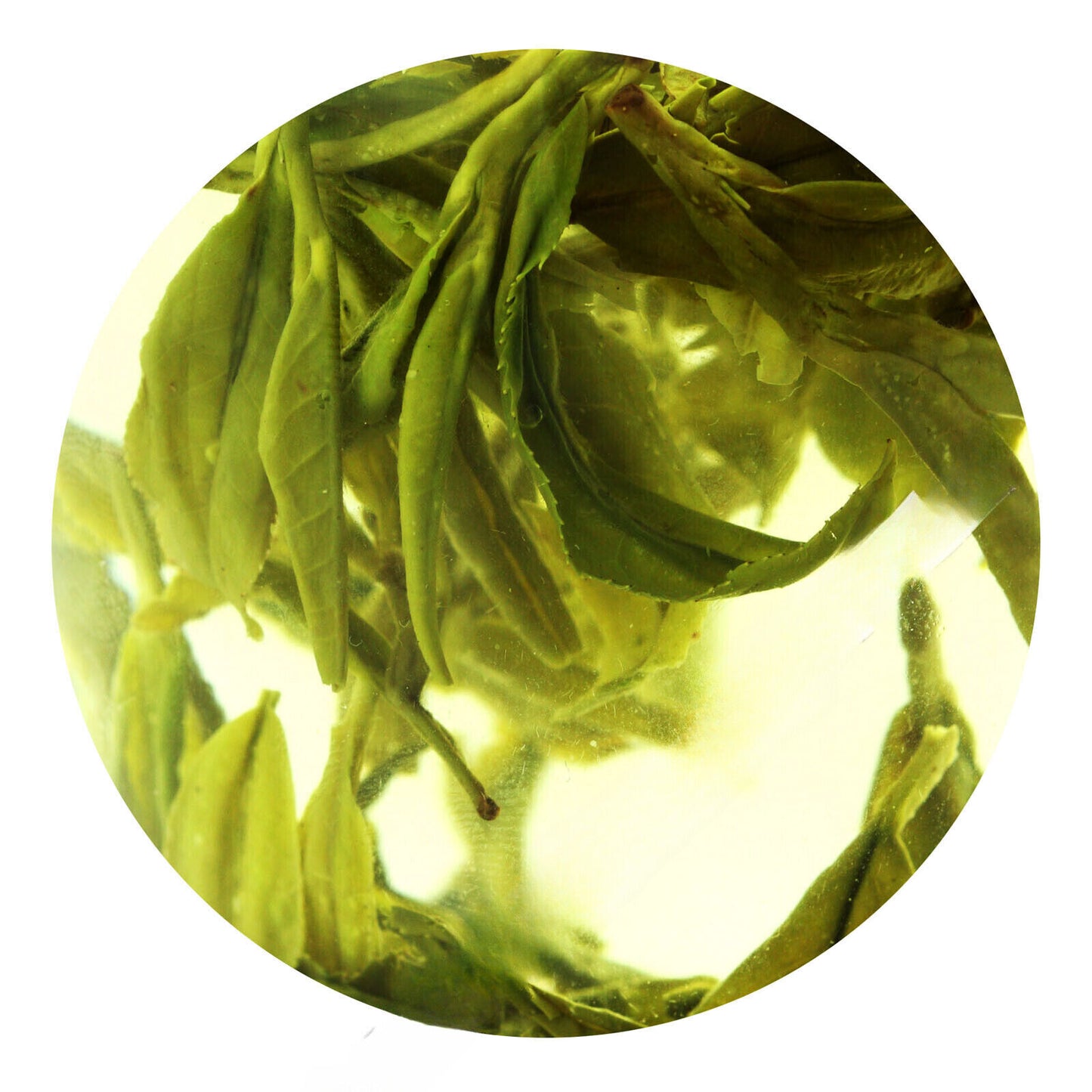 100g/3.52oz Top Xihu Longjing DragonWell Organic Green Tea Spring