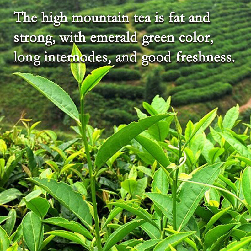 Premium Grade Oolong Tea China Taiwan Milk Oolong Tea Green tea organic