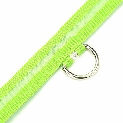 Green Light-Up LED Adjustable Pet Collar - Flashing or Steady Modes