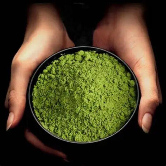 Matcha Green Tea Powder Organics Matcha Authentic Ceremonial Green Tea