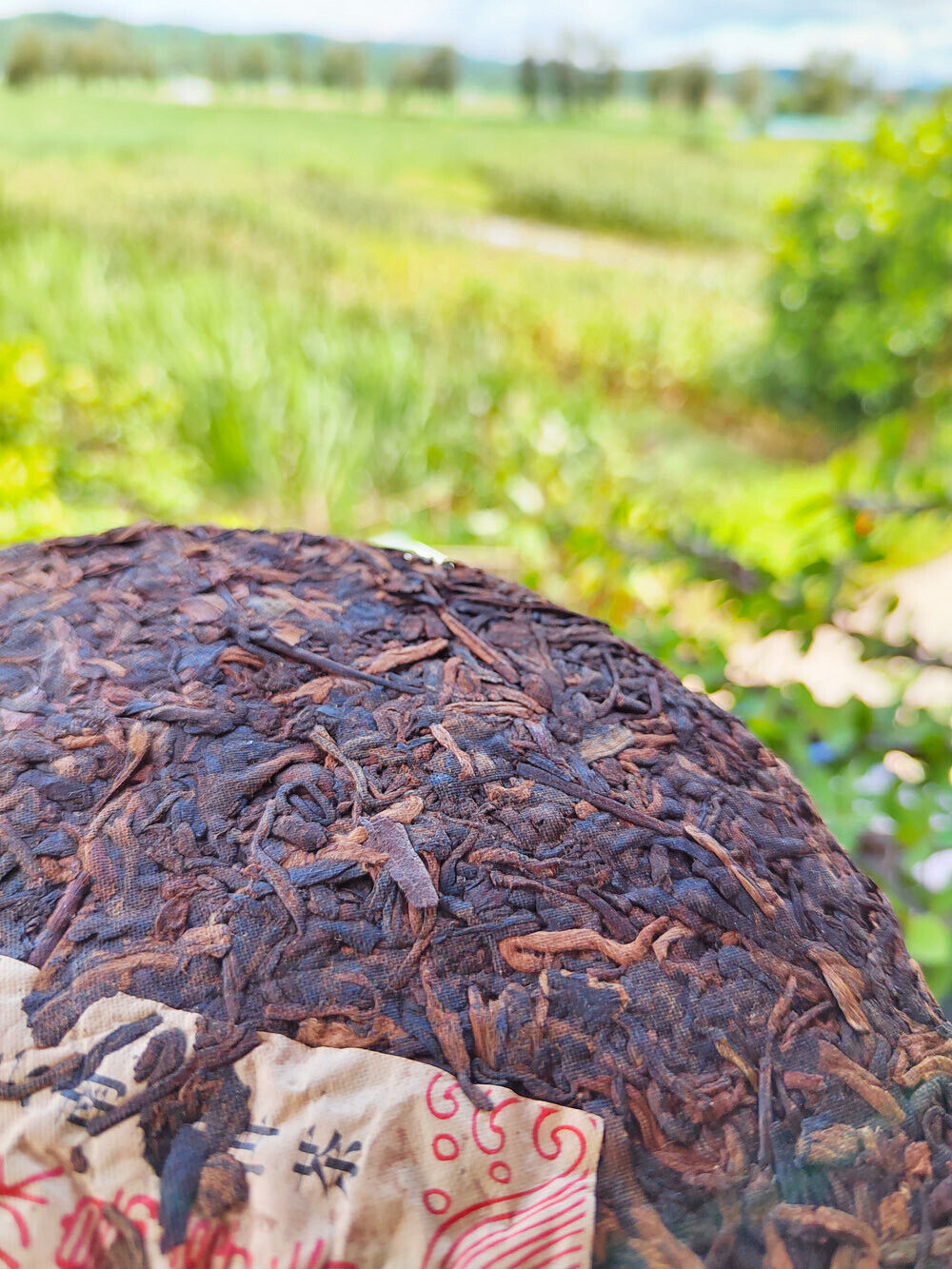 Icelandic Pu'er Ripe Tea Mengku Ancient Tree Ripe Tea Cake Pu'er Tea HongJinYin
