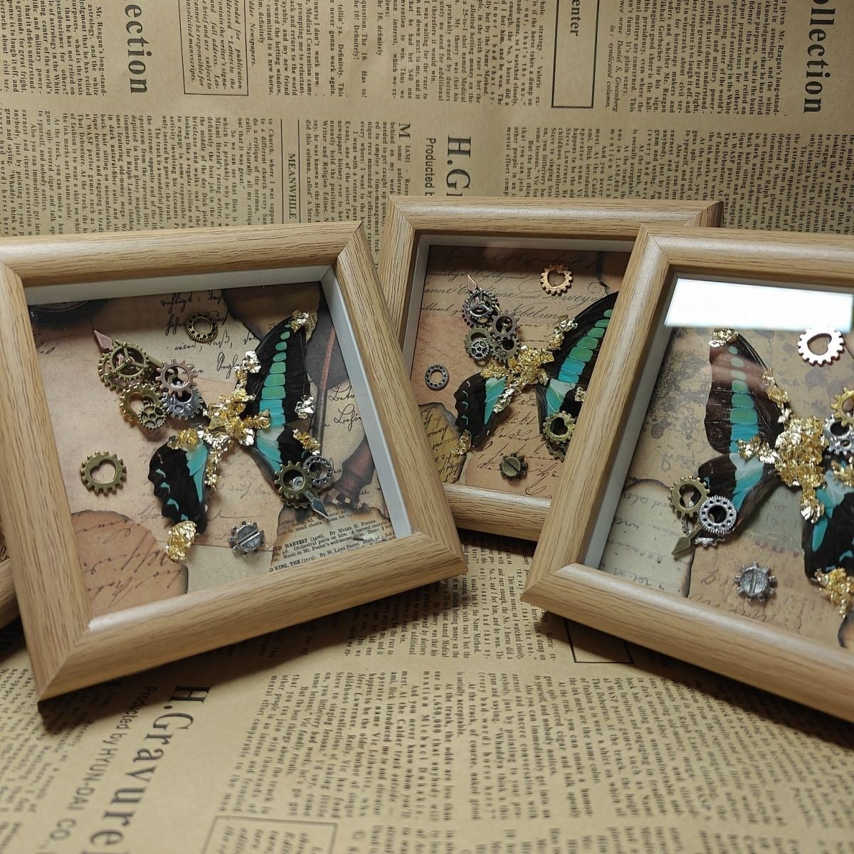 Steampunk Gold Leaf Real Butterfly Frame Chloris Swallowtail Specimen Gift
