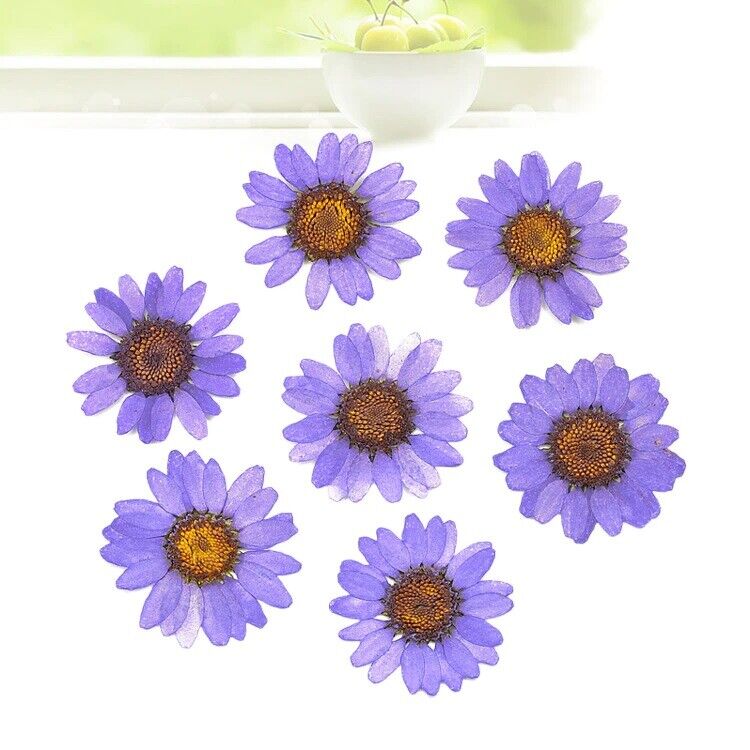 Dried Flowers Pressed Dry Daisy Epoxy Resin Jewelry Making Materials 120Pcs/Lot