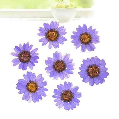 Dried Flowers Pressed Dry Daisy Epoxy Resin Jewelry Making Materials 120Pcs/Lot
