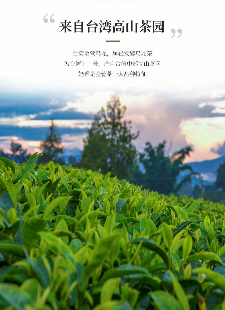 Jinxuan Oolong Tea for Milk Tea High Mountain Milk Oolong Tea 500g