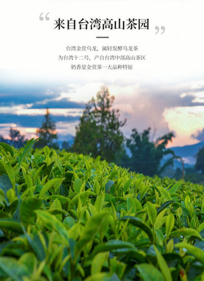Jinxuan Oolong Tea for Milk Tea High Mountain Milk Oolong Tea 500g